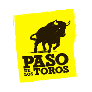 Paso de los Toros